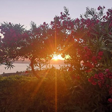 La Casa Sul Tramonto - Capoliveri - Services Included 외부 사진