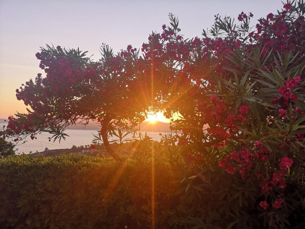 La Casa Sul Tramonto - Capoliveri - Services Included 외부 사진